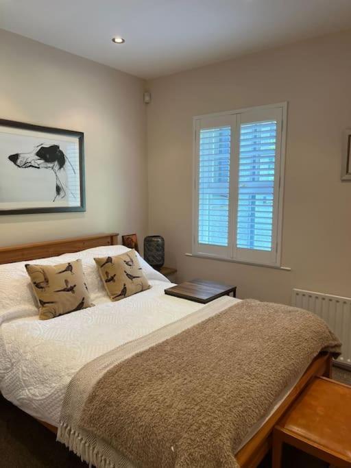Adorable One Bedroom Apartment With Balcony Newtownards Eksteriør billede
