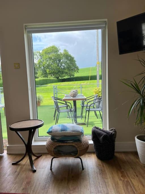Adorable One Bedroom Apartment With Balcony Newtownards Eksteriør billede
